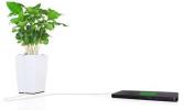 Chargez votre téléphone avec une plante