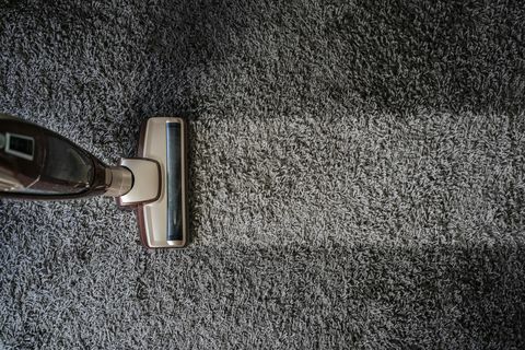 comment éviter les ravageurs des tapis