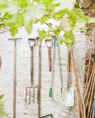 outils de jardin dans le cabanon