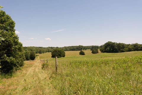 paysage du château de Virginie