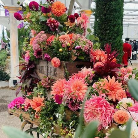 à l'intérieur du grand pavillon de l'exposition florale de chelsea 2021