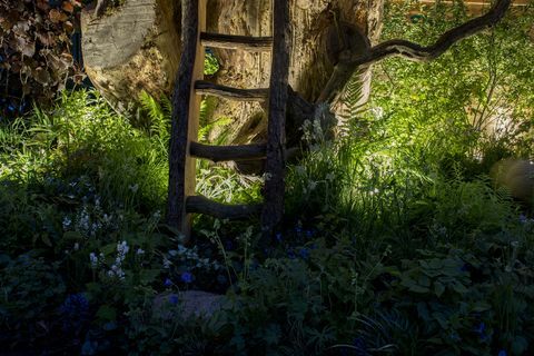 Chelsea Flower Show - Le jardin de la nature de Kate Middleton en soirée, éclairage Philips