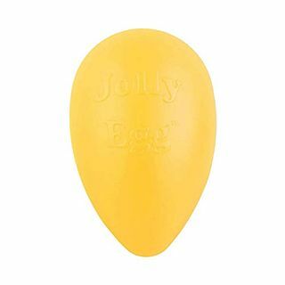 Jouet pour chien Jolly Egg