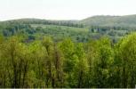 Levez la main si vous voulez réparer cette gigantesque ferme victorienne sur 270 acres