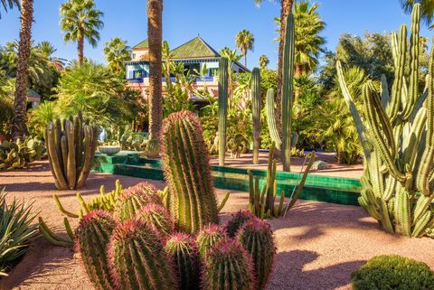 Jardin botanique Jardin Majorelle à Marrakech