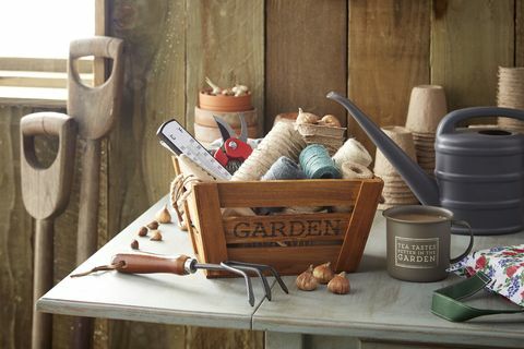 Outils et accessoires de jardinage Poundland