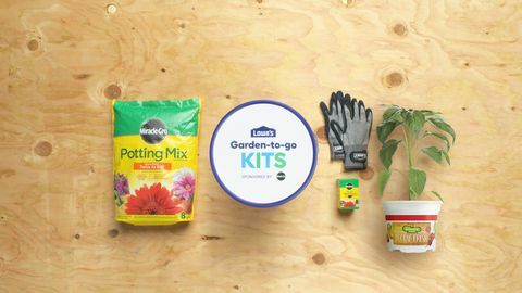 lowe's garden to go free kits springfest