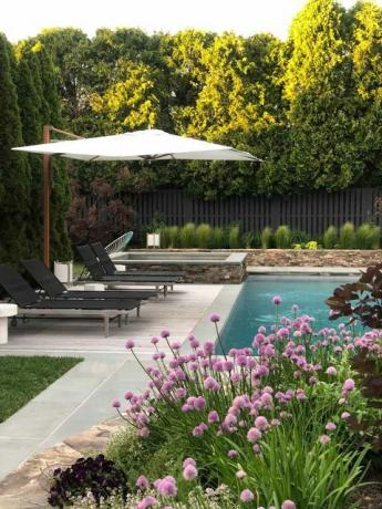 piscine avec fleurs violettes