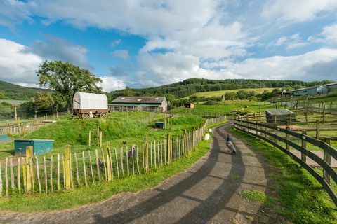 Espace extérieur - parc animalier à vendre en Ecosse 