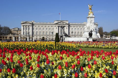 Le palais de Buckingham