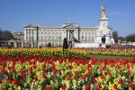 Le jardin de la reine Elizabeth présente une surprenante statue de Corgi