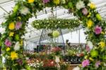 Exposition florale de Tatton Park 2019: arc-en-ciel de 5000 dahlias exposés