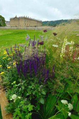 RHS Chatsworth Flower Show - bordures de fleurs