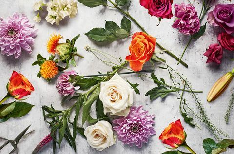 Waitrose Flower Delivery - service de livraison de fleurs en ligne