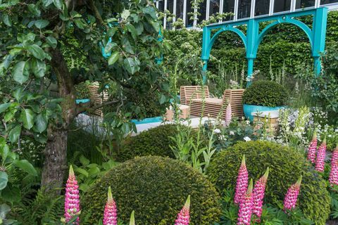 «500 ans de Covent Garden» Le jardin de la Fondation Sir Simon Milton en partenariat avec Capco. Conçu par: Lee Bestall. Parrainé par: Capital & Counties Properties PLC. RHS Chelsea Flower Show 2017