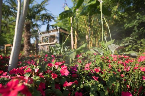 Le «B&Q Bursting Busy Lizzie Garden» - RHS Hampton Court Palace Flower Show 2018