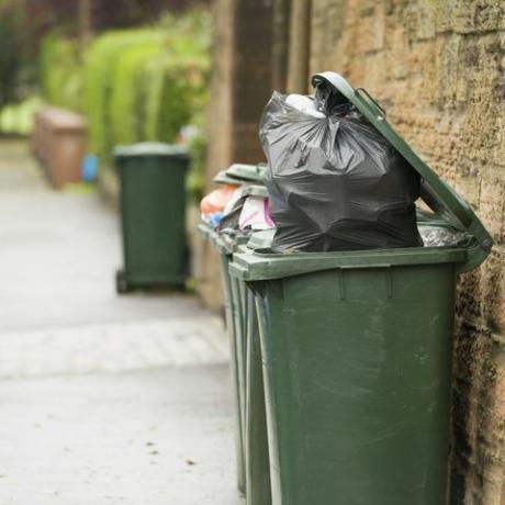 journée de collecte des poubelles