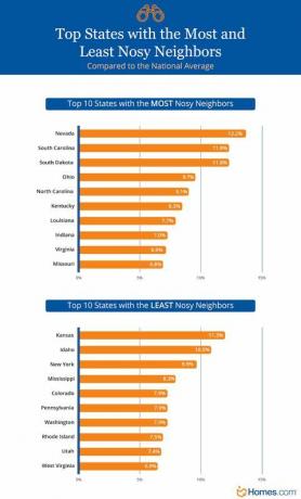 infographie sur les voisins les plus étranges