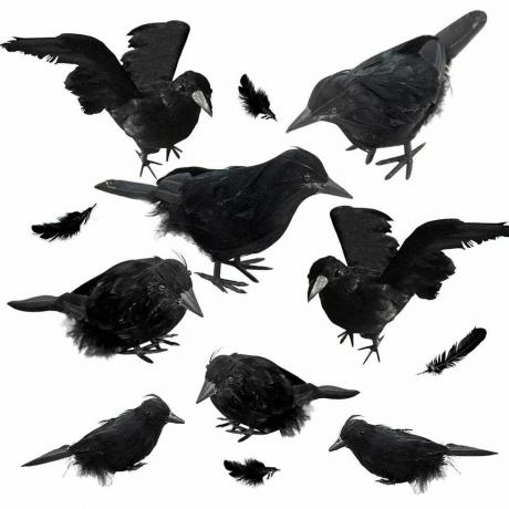 Corbeaux à plumes noires, lot de 8