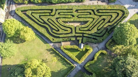 Photographie aérienne du labyrinthe à Hampton Court Palace montrant une partie de la nature