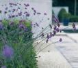 10 conseils pour un design de jardin contemporain élégant