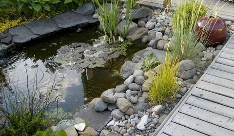 Un petit étang et une terrasse avec un coin salon dans un jardin.