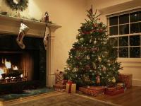 Réel contre Faux sapins de Noël: lequel convient le mieux à votre maison ?