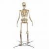 Home Depot vend un squelette de 12 pieds qui sera le discours de la ville