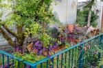 Chelsea Flower Show 2021 Balcon Gardens: Photos