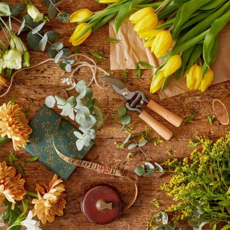 fleurs de freddie boîtes de printemps