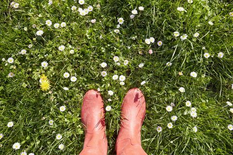 Position femme, dans, bottes caoutchouc rouge, dans, a, pré, à, fleurs marguerite