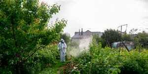 jardinier en tenue de protection pulvérisant des buissons et un jardin à partir d'un pulvérisateur