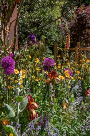 le jardin de l'atelier de carrosserie conçu par jennifer hirsch rhs chelsea flower show 2022