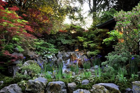 Petit jardin de style japonais avec acer arbres et iris drapeau poussant dans un bassin rocheux d'eau situé dans les jardins artisanaux de la Royal Horticultural Society chelsea flower show 2018