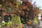 5 tâches incontournables dans votre jardin d'automne