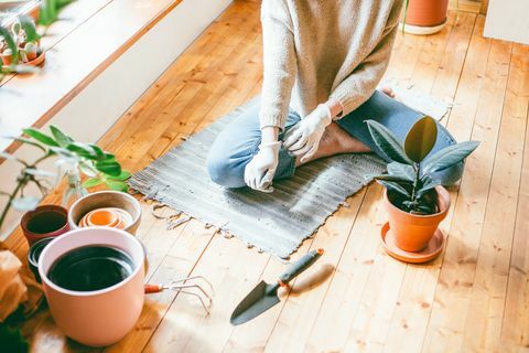 Femme, mettre, jardinage, gants