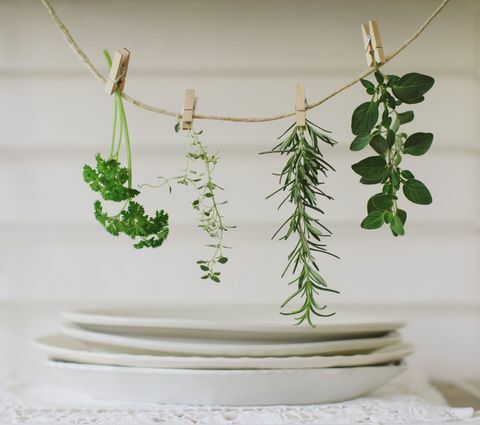 Ficelle avec diverses herbes fraîches cueillies suspendues par des pinces à linge