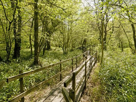 L'une des plus belles résidences de campagne de Dartmoor à vendre