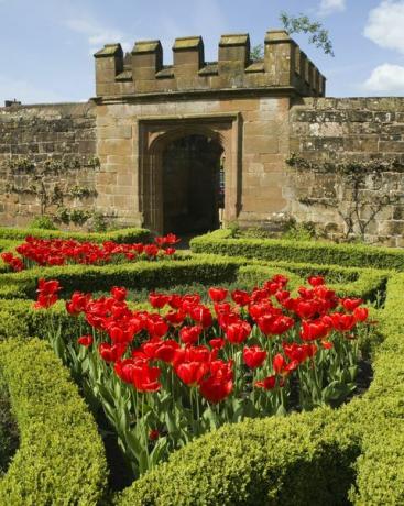 Le château de kenilworth warwickshire les midlands angleterre uk
