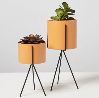 Ensemble de deux pots de fleurs sur piédestal jaune