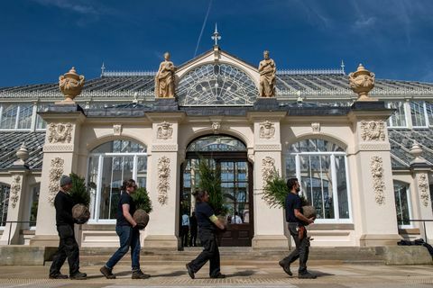 La maison tempérée de Kew Garden récemment rénovée rouvre ses portes au public