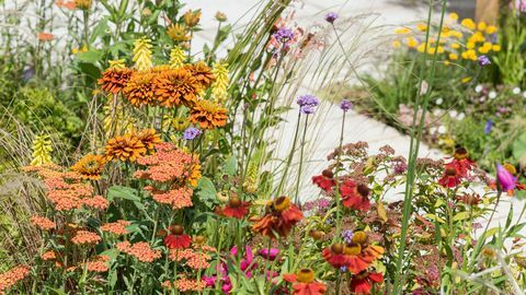 The BBC North West Tonight Sunshine Garden - À la mémoire de Dianne Oxberry