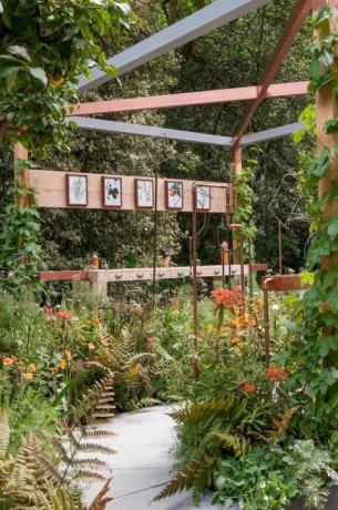 Jardin de graines au Chelsea Flower Show - conçu par Catherine MacDonald - construit par Landform Consultants. Jardin artisanal.