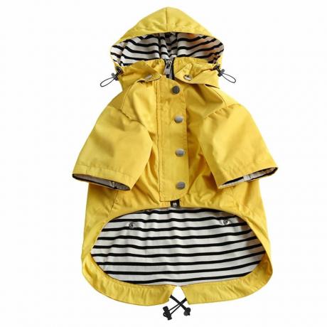 Imperméable pour chien avec boutons réfléchissants