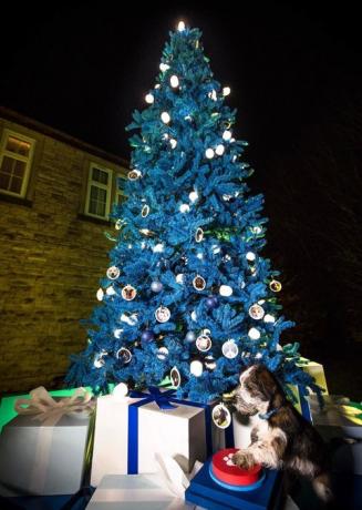 La Croix Bleue lance le premier arbre de Noël au monde grâce aux dons