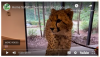 3 voyages au zoo virtuel pour divertir les enfants ennuyés pendant l'isolement