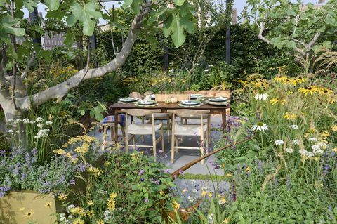 Chelsea Flower Show 2021 le persil box garden conçu par alan williams