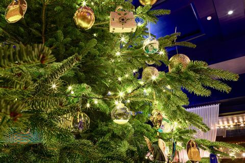 Arbre de Noël cher de l'hôtel Kempinski